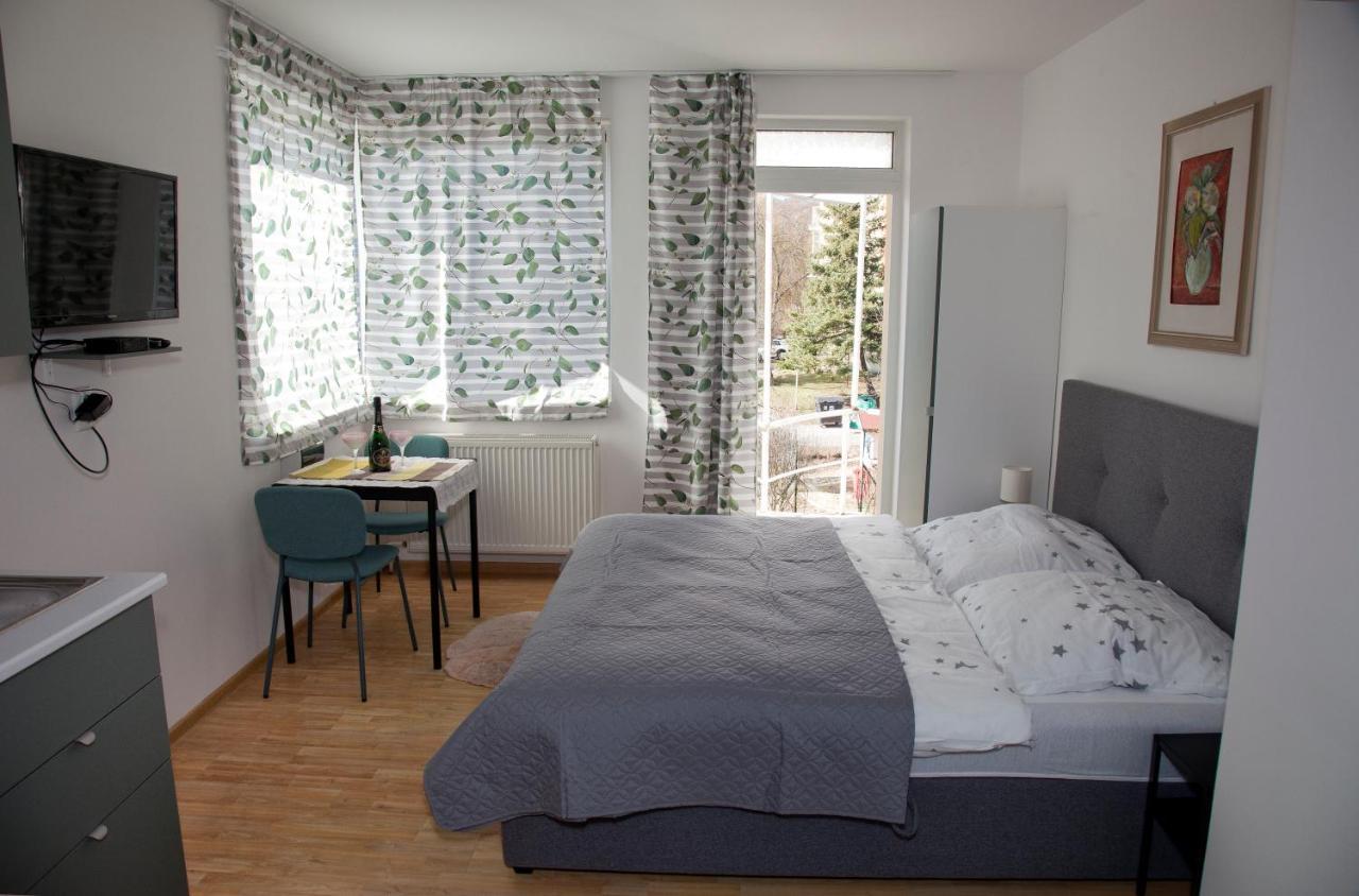 Apartman U Doktora Banská Bystrica Eksteriør bilde